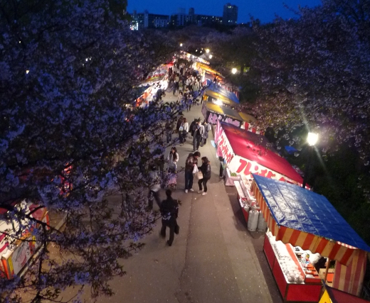 Photo of osaka mint-1