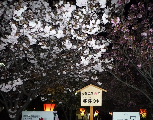 Photo of osaka mint-2