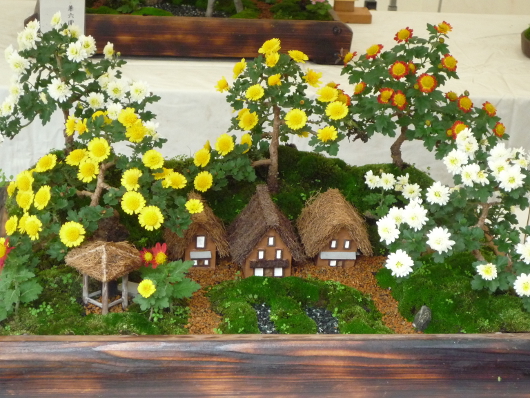 Photo of Chrysanthemum at Sankei-en