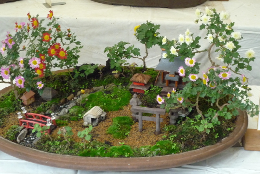 Photo of Chrysanthemum at Sankei-en