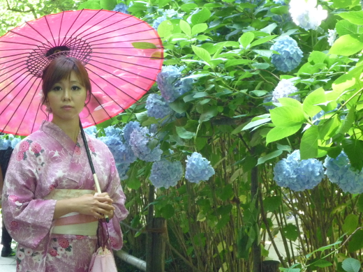 Photo of hydrangea-4