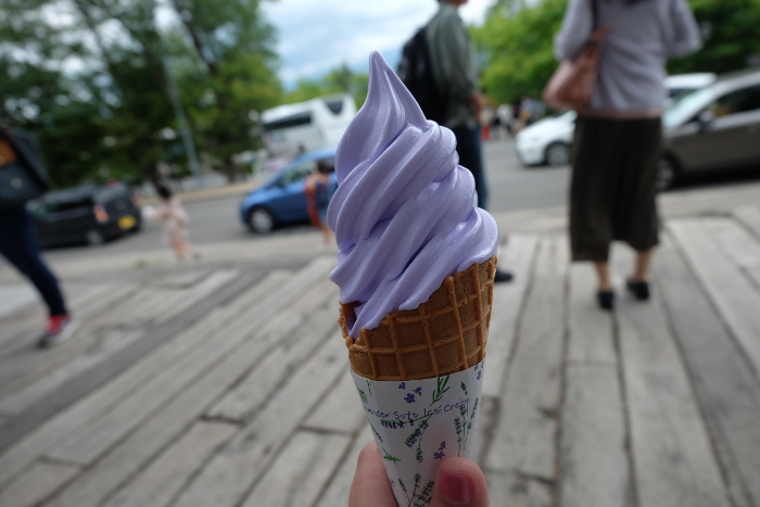 Photo of lavender at Tomita Farm