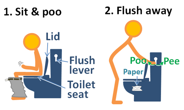 picture of western style toilet