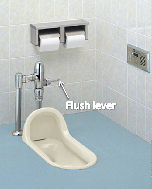 phtograph of Japanese style toilet
